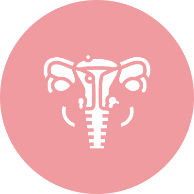 White elephant head icon on a pink circular background.
